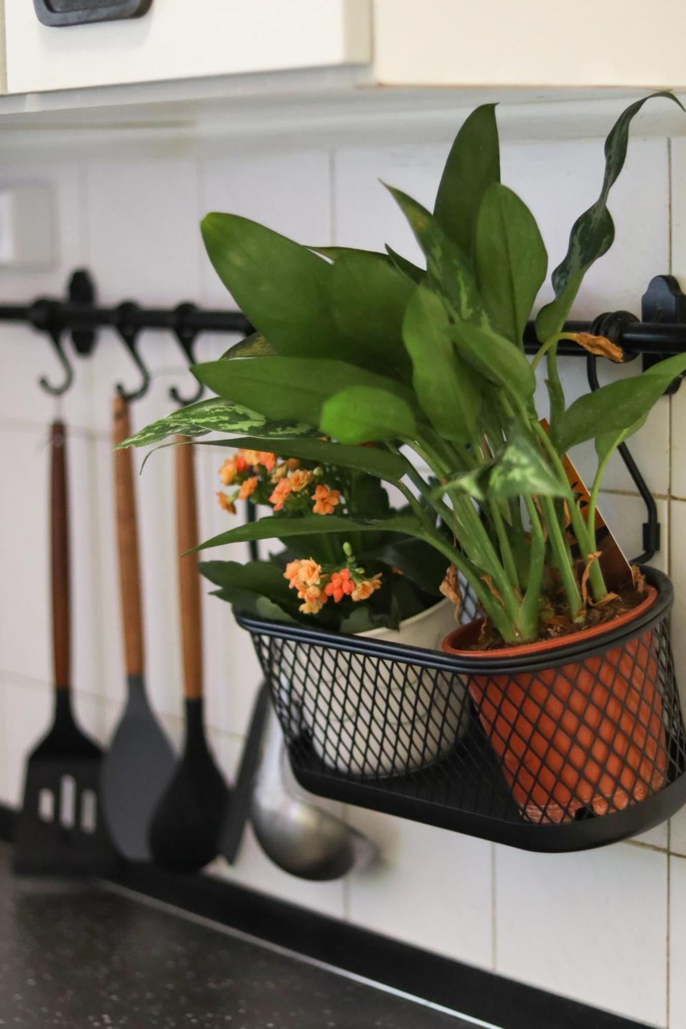 Apartament If-Ju-Lak Kaposvár Zewnętrze zdjęcie